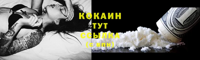 дарнет шоп  Кириши  COCAIN FishScale 